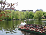 boston common